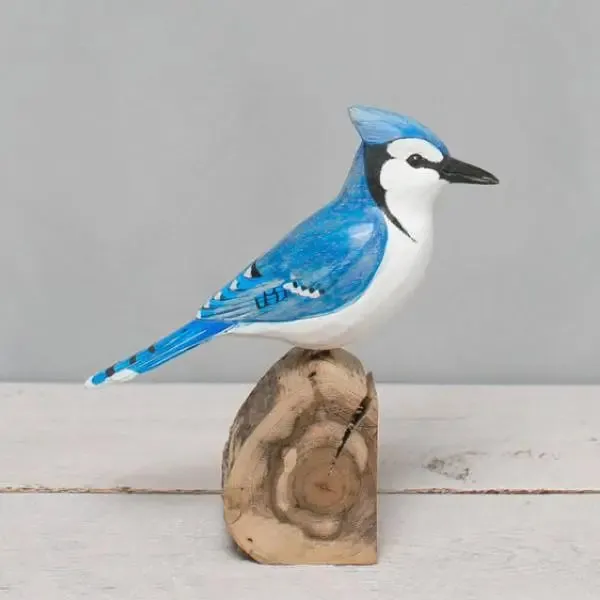 Blue Jay in Wood